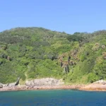 Interesting Facts about Snake Island in Brazil That You Might Not Know