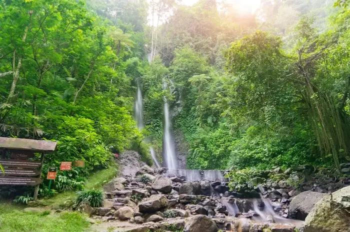 10 Tourist Attractions in Bogor, From Natural Beauty to Delicious Culinary